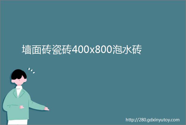 墙面砖瓷砖400x800泡水砖